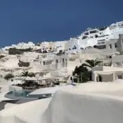ぽむぽむの画像