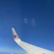 レッドスターの画像