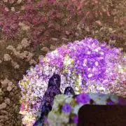 みおの趣味垢の画像