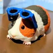 捺の画像