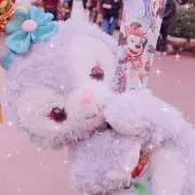 ま15の画像
