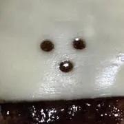 マルケー