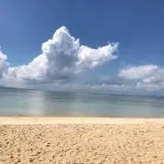 フィーのなんでもマーケット