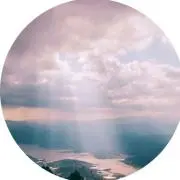 ゆうはの画像