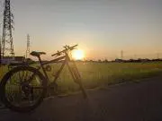 れいにーの画像