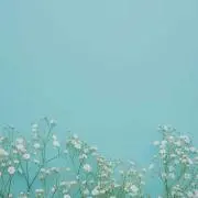 leiの画像