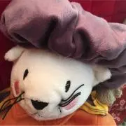 iwaichiの画像