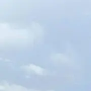 ももの画像