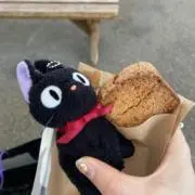 Sの画像
