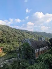 たまねぎ農園の画像
