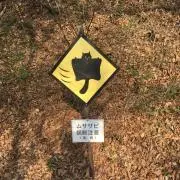 ムササビの画像