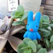 はなうさの画像