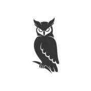 Night Owlの画像