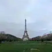 まりもの画像
