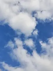 ともち123の画像
