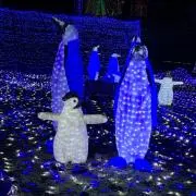 あずさの画像