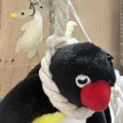 ミネソタの画像
