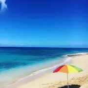 まあこの画像
