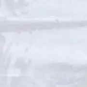 ごましおの画像