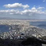 カメイの画像