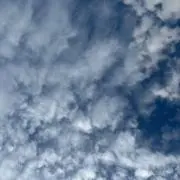MIKAの画像