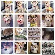 ruiruiの画像