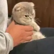 オガワ　【値下げ可能】の画像