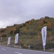 おおやの画像