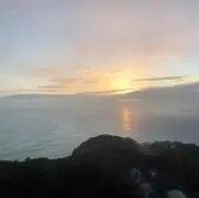 ルイボスの画像