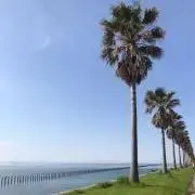 みきたんの画像