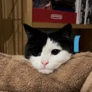 ゆず丸