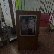 Mgtdの画像