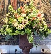 紫陽花の画像