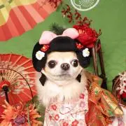 ミキティ
