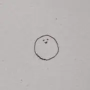 しらたま。の画像