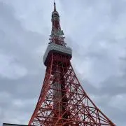 msmin1212の画像