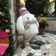 natsuko@断捨離中