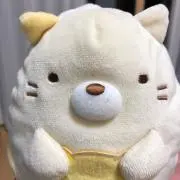 チャコの画像