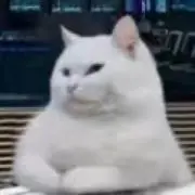 あわの画像