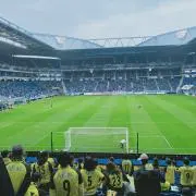 kaijyounemoの画像