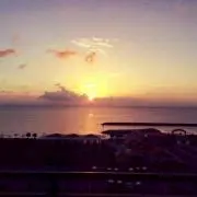 たいりゅうか