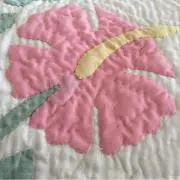 よっちゃん