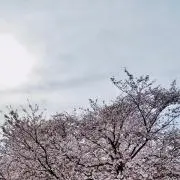 ゆびの画像