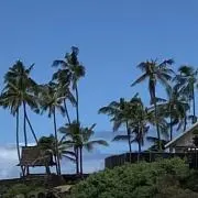 COCOの画像