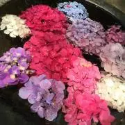 やん 【即購入歓迎☆*°】の画像