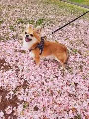 kykの画像