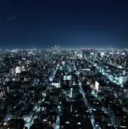 むぎちゃの画像