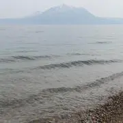 ネピア