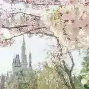 鶴@値下げ可/希望価格をご提示ください