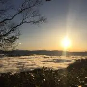ぱん✩︎ᙏ̤̫の画像
